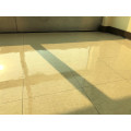 Floor Polish